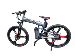 ebike rental, electric bike rental, ebike rentals