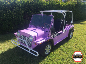 affordable golf cart rental, golf cart rent hialeah, cart rental hialeah