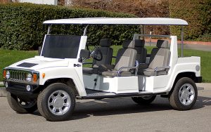 affordable golf cart rental, golf cart rent hialeah, cart rental hialeah