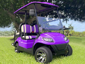 hialeah golf cart rental, golf cart rental, golf cars for rent